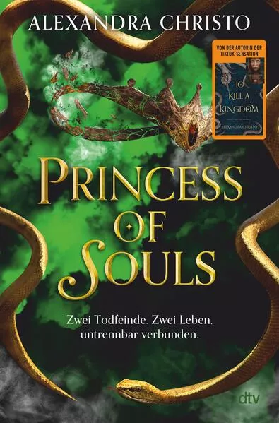 Cover: Princess of Souls
