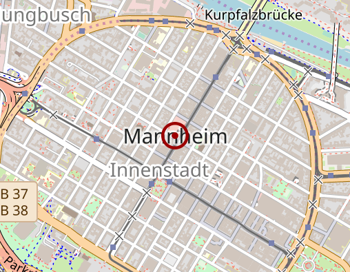 Position: Universitätsbibliothek Mannheim - Bibliotheksbereich Schloss Schneckenhof Süd