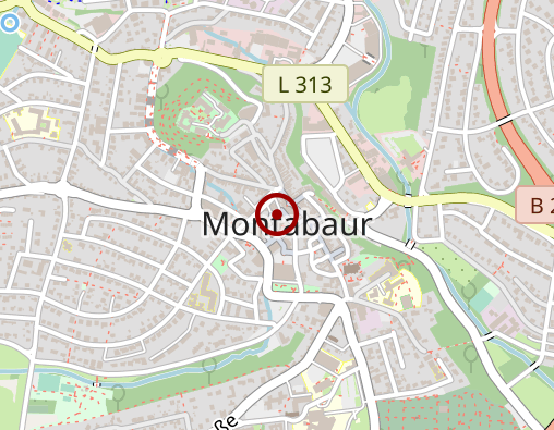 Position: Stadtbibliothek Montabaur