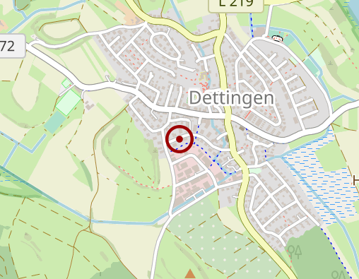 Position: Verbreitung der Bibel