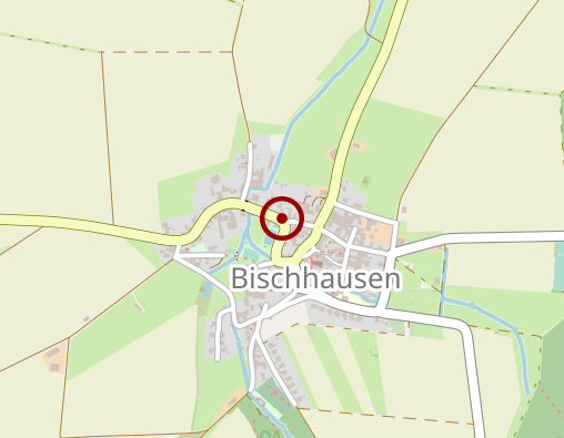 Position: Bischhäuser Bücherschrank