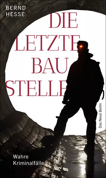 Cover: Die letzte Baustelle