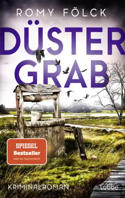 Cover: Düstergrab