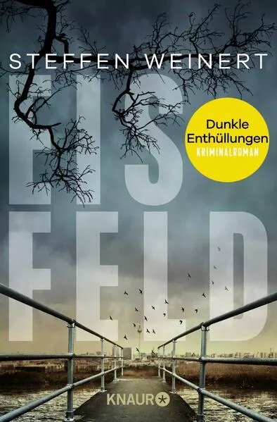 Cover: Eisfeld – Dunkle Enthüllungen