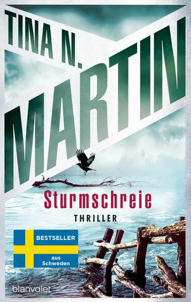 Cover: Sturmschreie