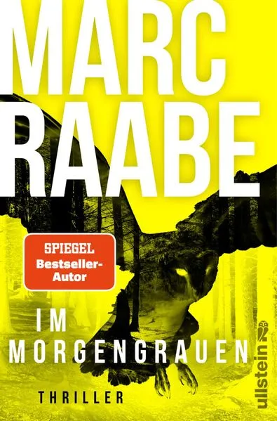 Cover: Im Morgengrauen (Art Mayer-Serie 4)