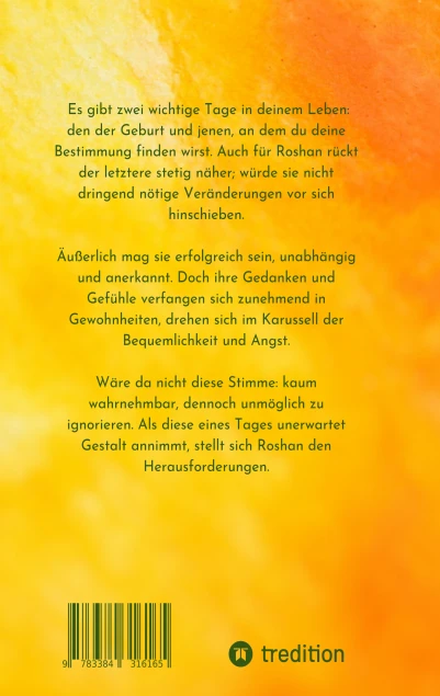 Cover: Im Labyrinth der Stille