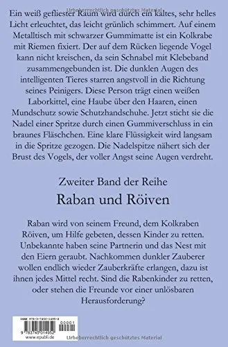 Cover: Raban und Röiven Rückkehr dunkler Zauberer