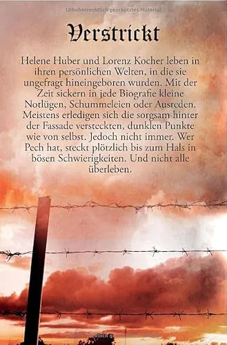 Cover: Krügers Fälle 10 / Verstrickt: