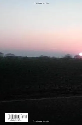 Cover: AMERICA: Rückblick und Ausblick