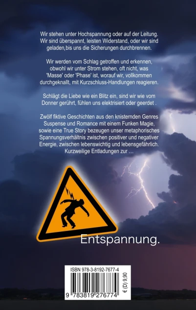 Cover: Kurzschlüsse