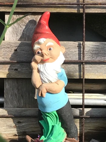 Autor: Bucher, Patrick