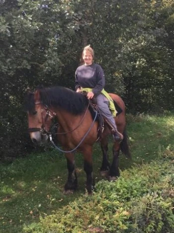 Autor: Daub, Bärbel