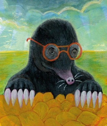 Autor: Kornblum, Romana