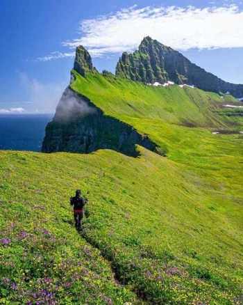 Autor: Shannon, Michael W. K.