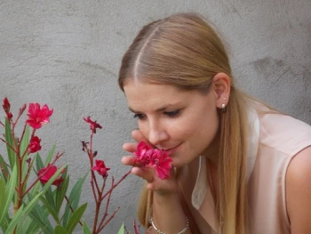 Autor: Zimmermann, Saskia