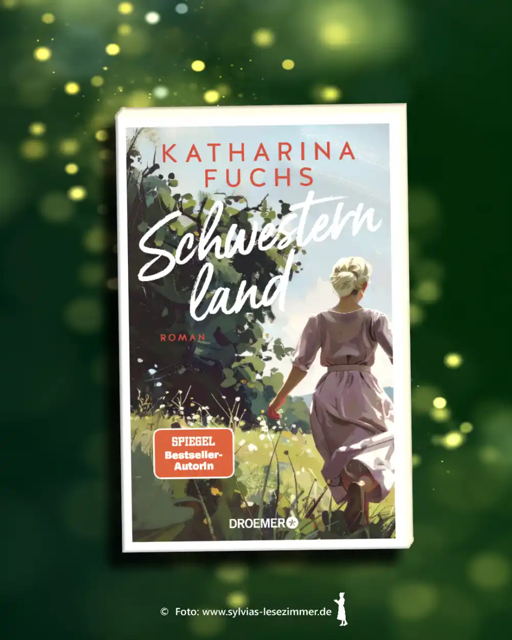 Cover: Schwesternland