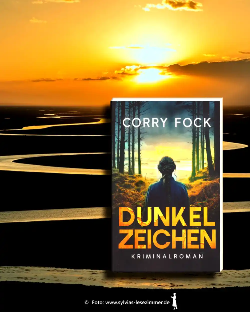 Cover: Dunkelzeichen