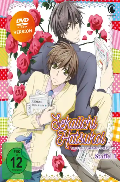 Sekaiichi Hatsukoi - Staffel 1 - Vol. 1 - DVD mit Sammelschuber (Limited Edition)