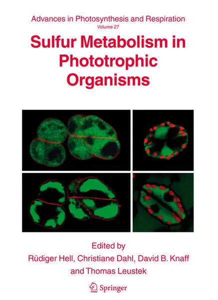 Sulfur Metabolism in Phototrophic Organisms