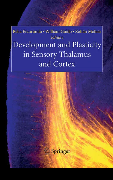 Development and Plasticity in Sensory Thalamus and Cortex</a>