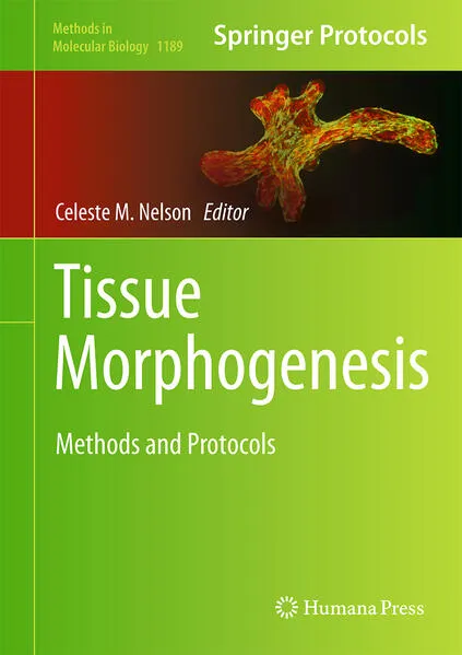 Cover: Tissue Morphogenesis