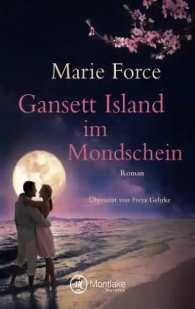 Gansett Island im Mondschein