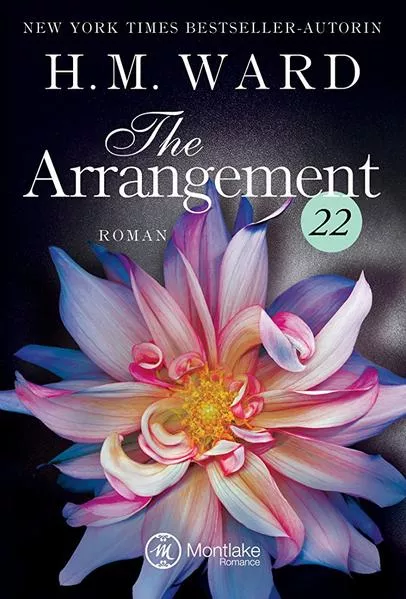 Cover: The Arrangement 22