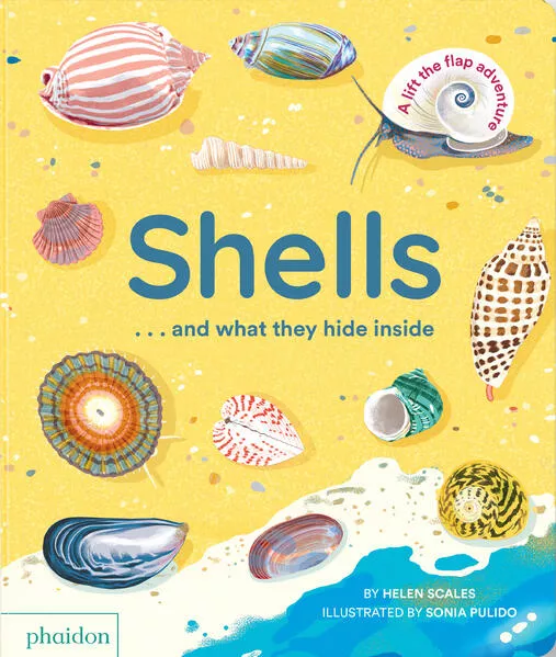 Cover: Shells... and what they hide inside