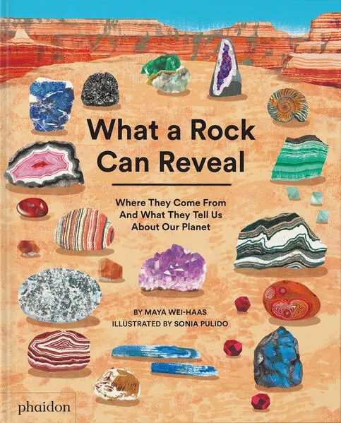 Cover: What a Rock Can Reveal