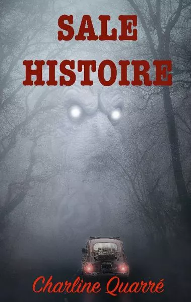 Cover: Sale Histoire