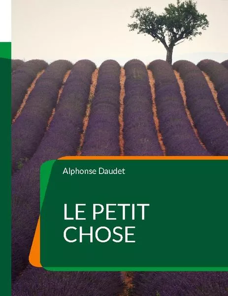 Cover: Le Petit Chose