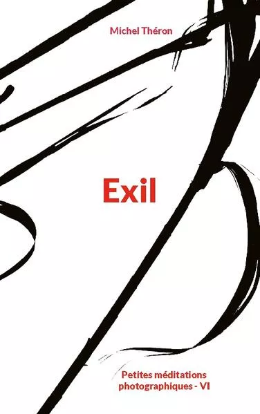 Cover: Exil