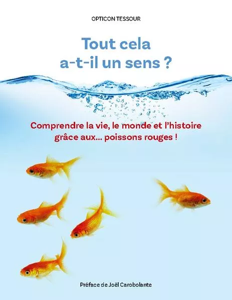 Tout cela a-t-il un sens ?</a>