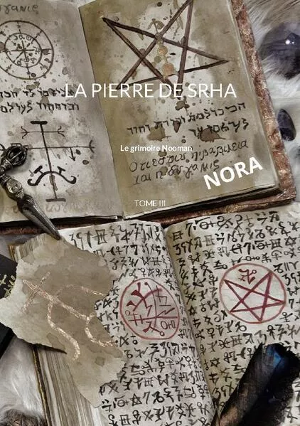 Cover: La pierre de Srha