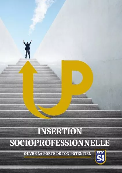 Insertion socioprofessionnelle</a>