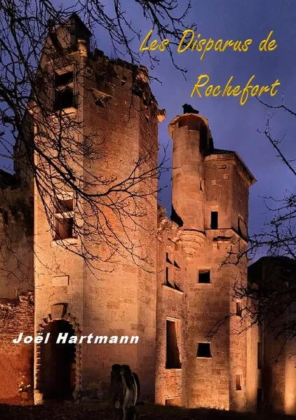 Cover: Les Disparus de Rochefort