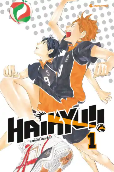 Cover: Haikyu!! 01