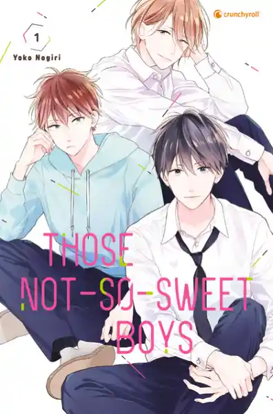 Cover: Those Not-So-Sweet Boys – Band 1