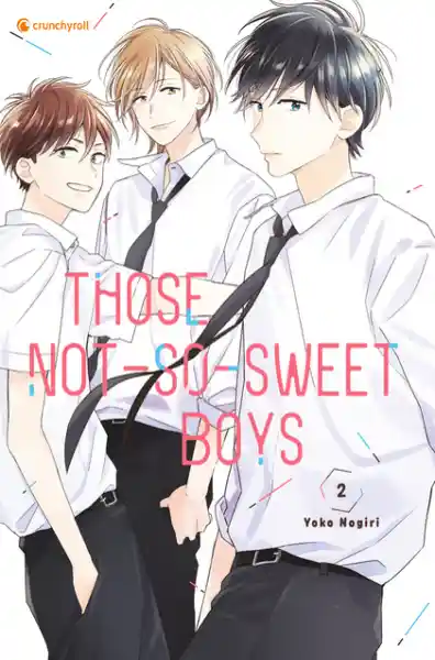 Cover: Those Not-So-Sweet Boys – Band 2