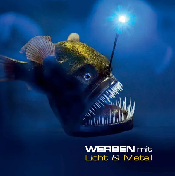 Cover: WERBEN mit Licht & Metall