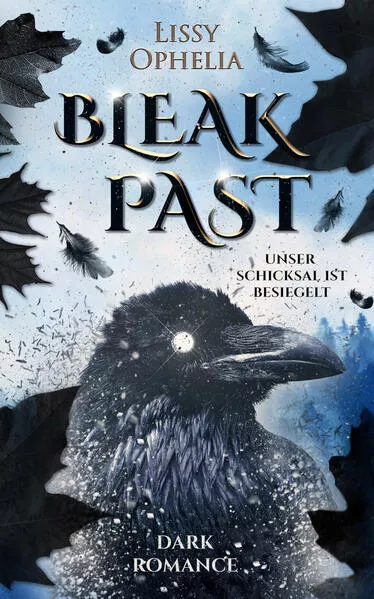 Cover: Bleak Past