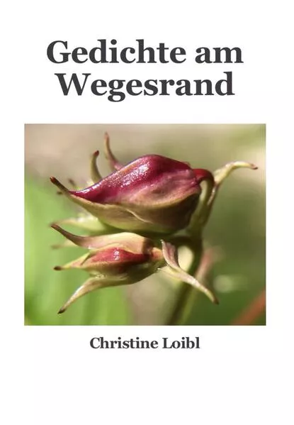 Cover: Gedichte am Wegesrand