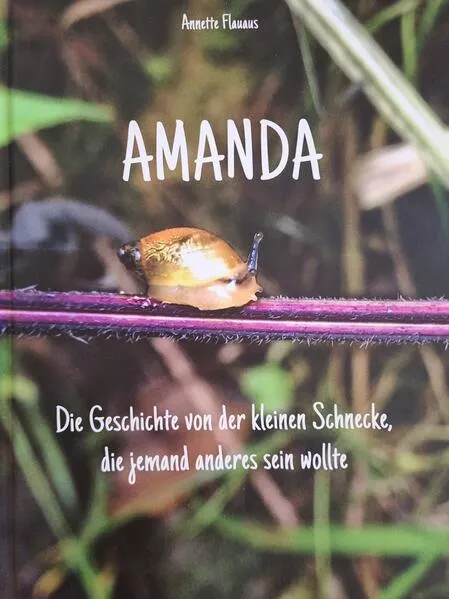 Cover: AMANDA