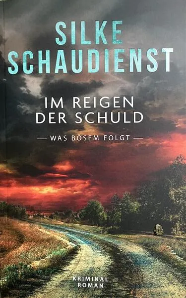 Cover: Im Reigen der Schuld