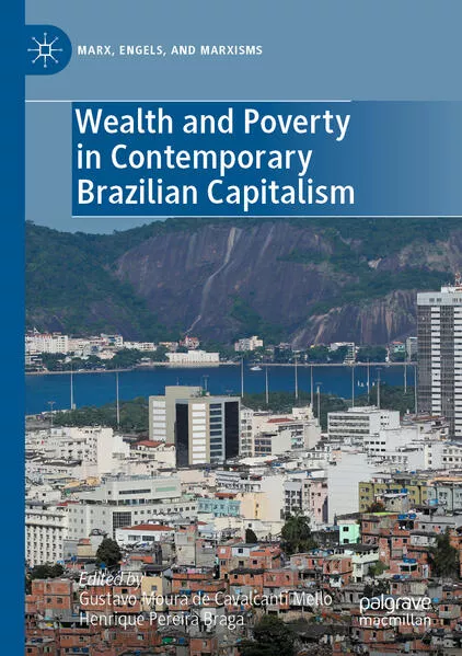 Cover: Wealth and Poverty in Contemporary Brazilian Capitalism