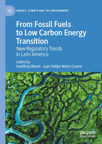 Cover: From Fossil Fuels to Low Carbon Energy Transition