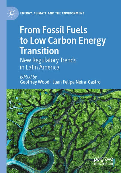 Cover: From Fossil Fuels to Low Carbon Energy Transition