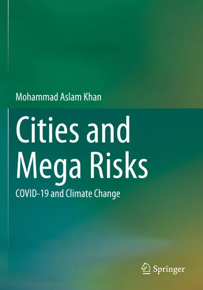 Cover: Cities and Mega Risks