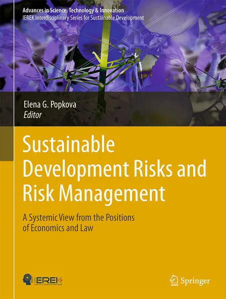 Cover: Sustainable Development Risks and Risk Management